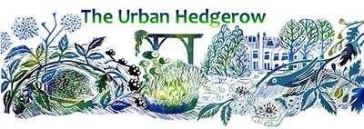 The Urban Hedgerow Logo
